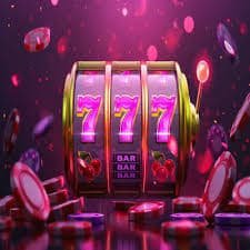 tara 7777